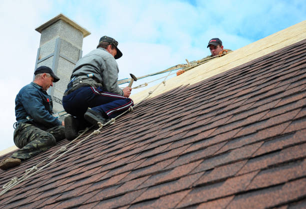 Roof Installation Near Me in Shady Hollow, TX